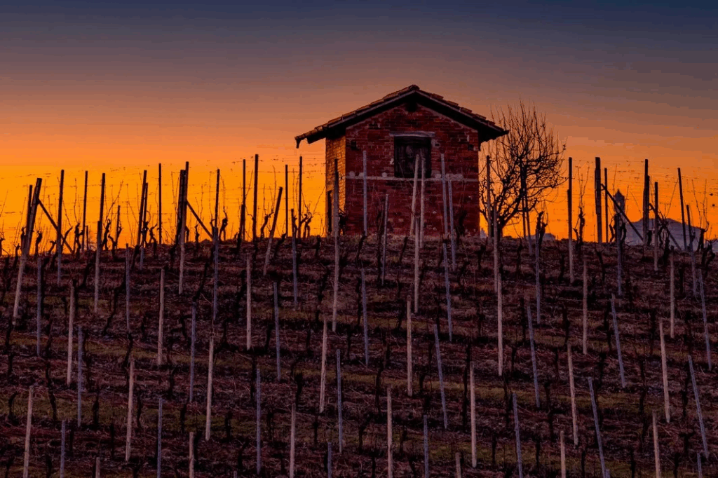 Aften over Barbaresco - Neive