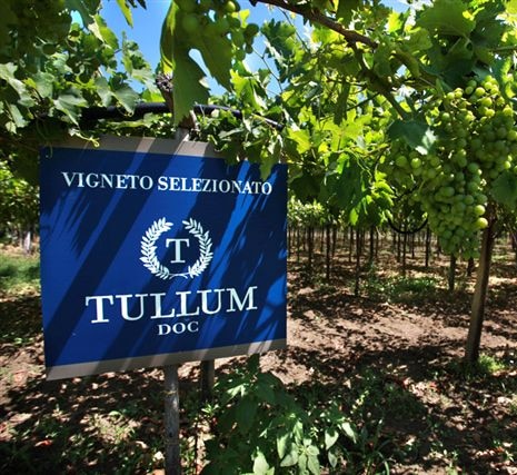 Tullum