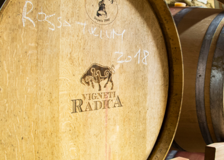 Vigneti Radica fra Abruzzo