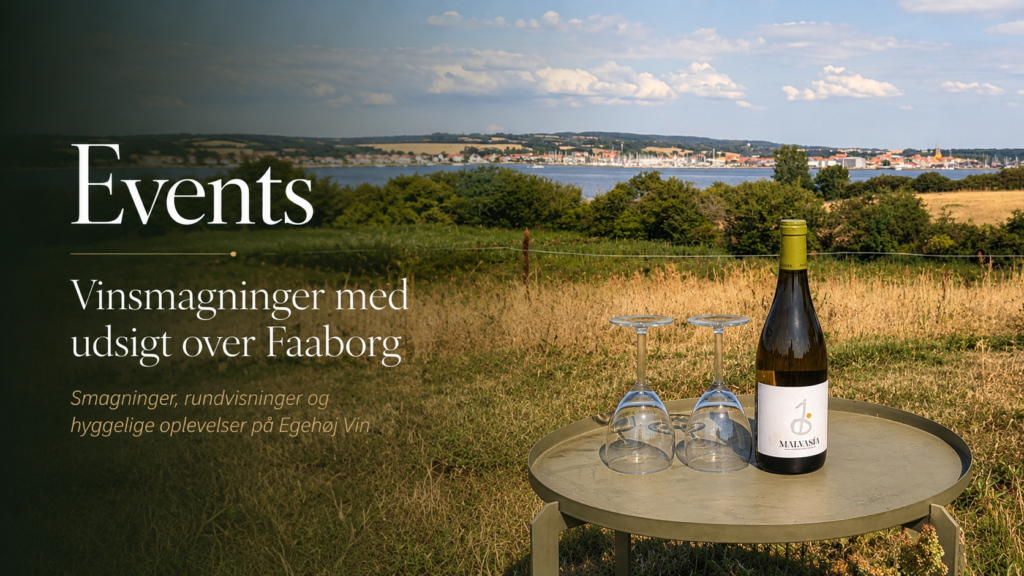 Vinsmagning Faaborg