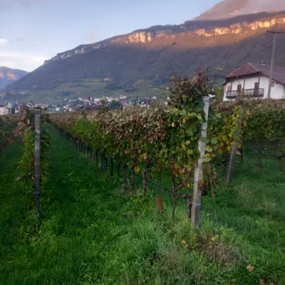 Alto Adige